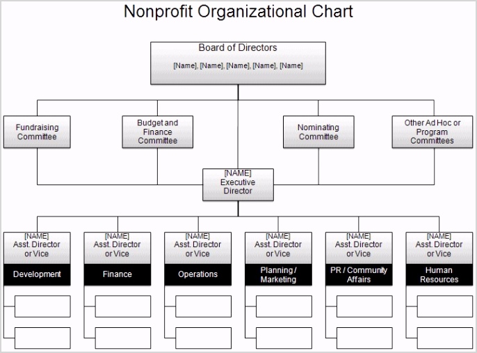 free organizational chart template pany organization corporate structure