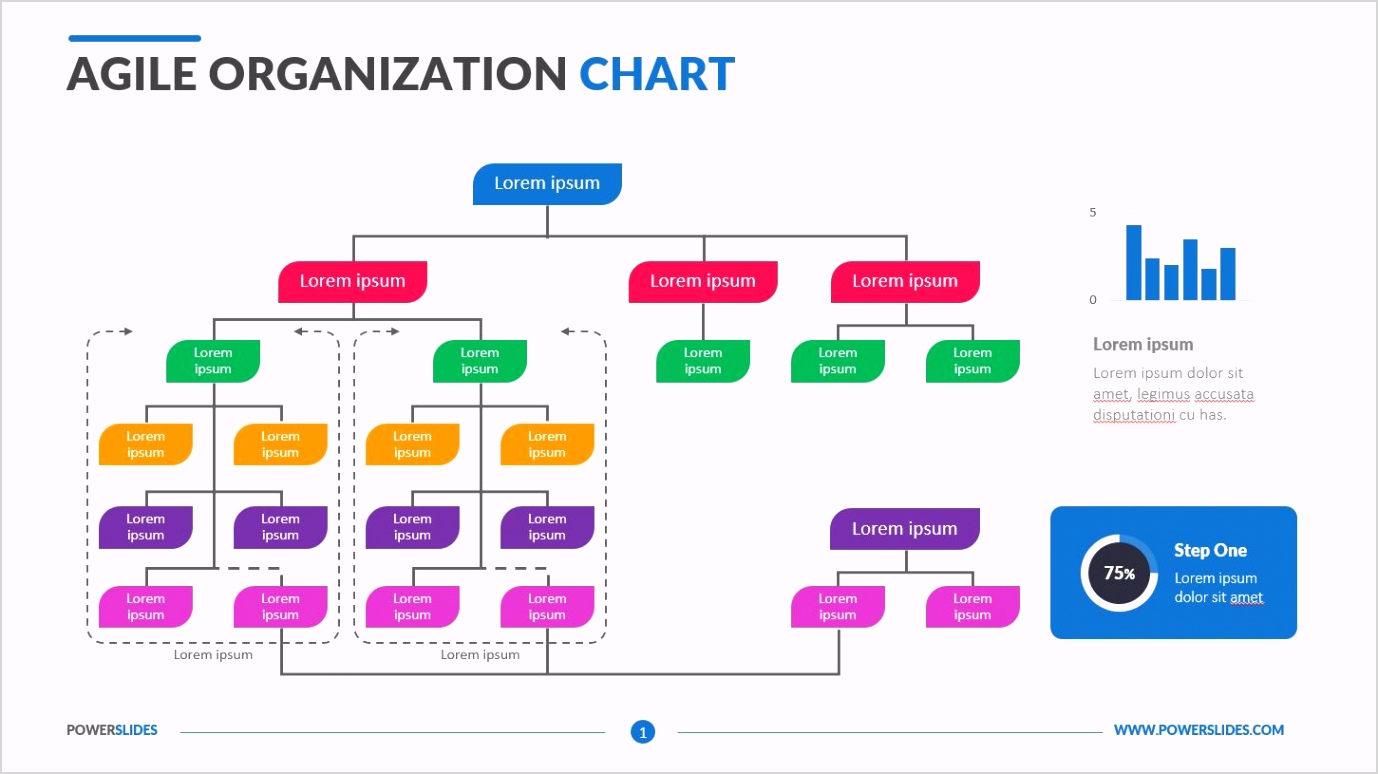 Agile Organization Chart 1