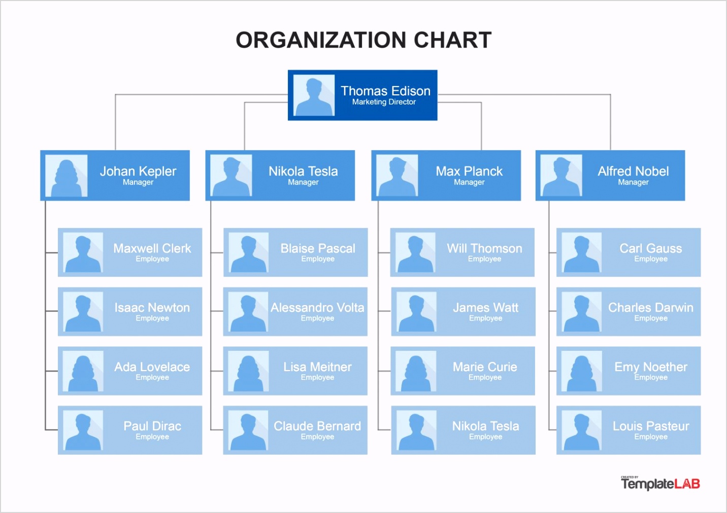 Organization Chart Template 8 TemplateLab e