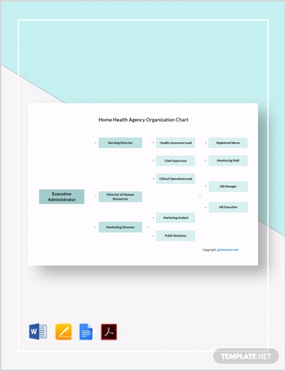 Home Health Agency Organization Chart 2