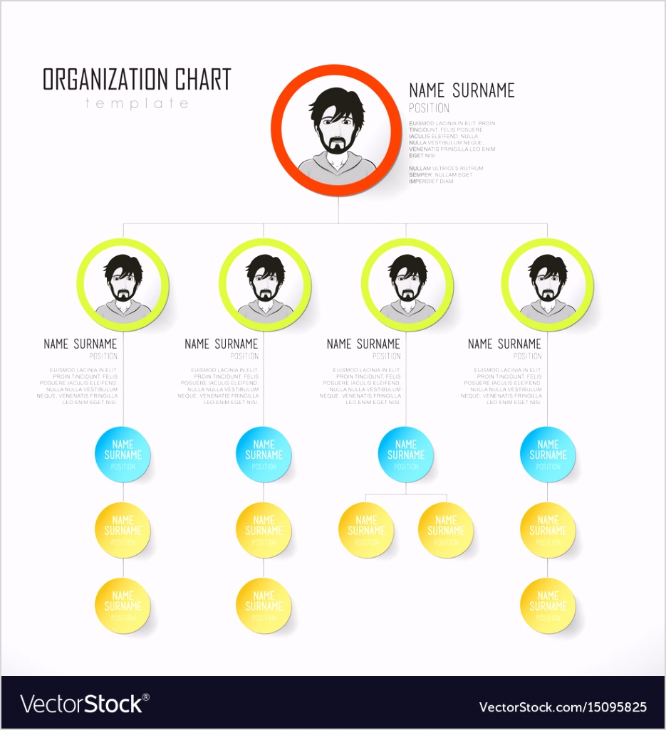 Organization chart template with colorful circles organization chart template with colorful circles vector