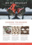 Free Holiday Newsletter Templates